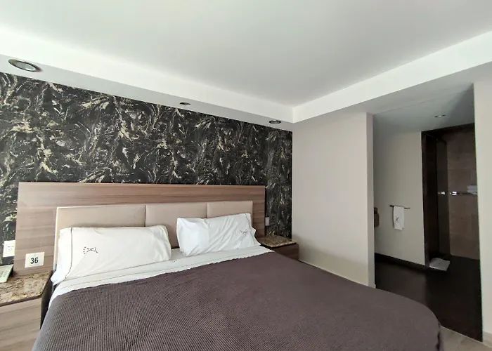Nuevo Tijuana (adults Only) Love hotel 2*